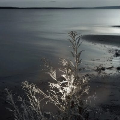 Mar de plata 05