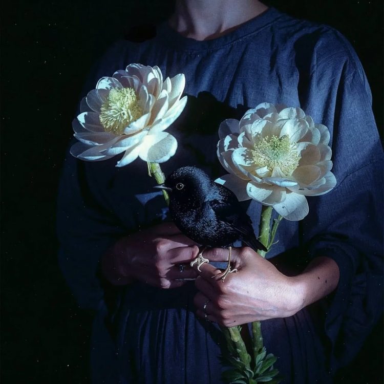 Bird & flowers 01