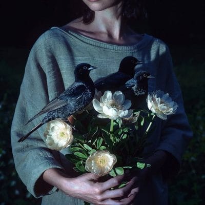 Bird & flowers 02