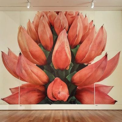 Symbiosis 02