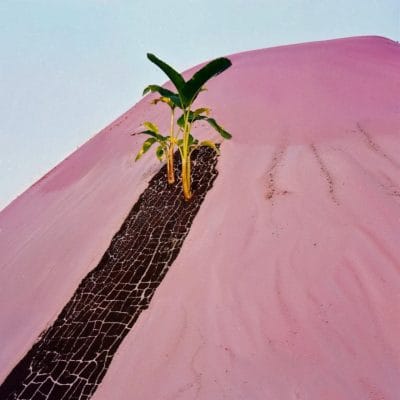 Dreamscapes 02