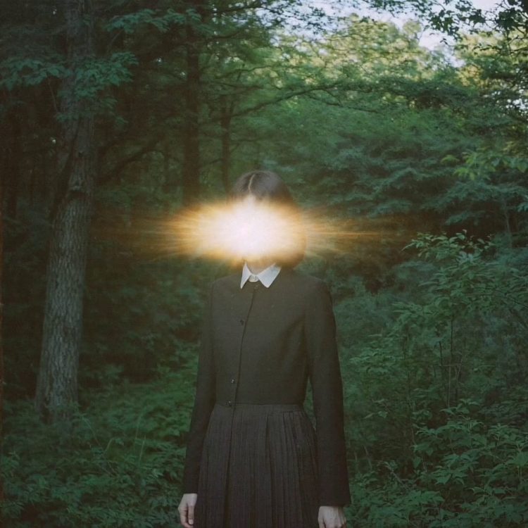 Enchanted forest 01