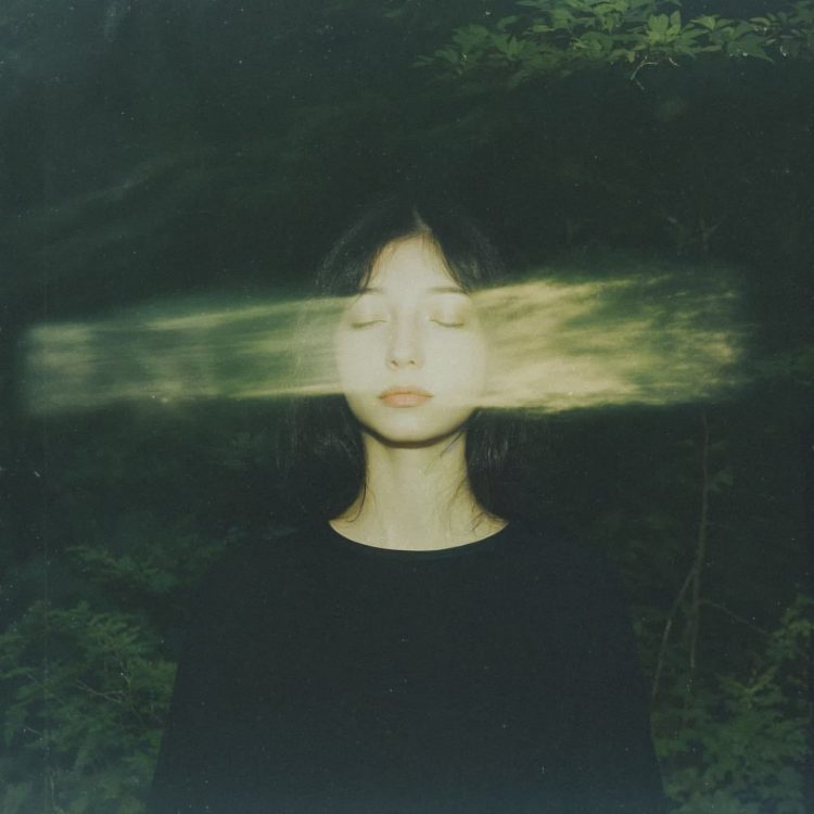 Enchanted forest 05