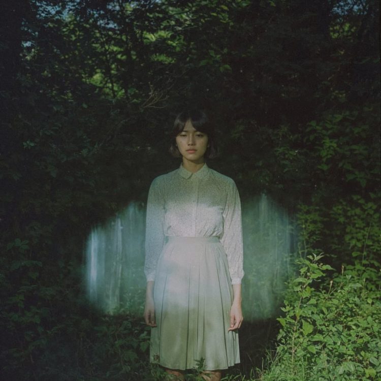 Enchanted forest 09