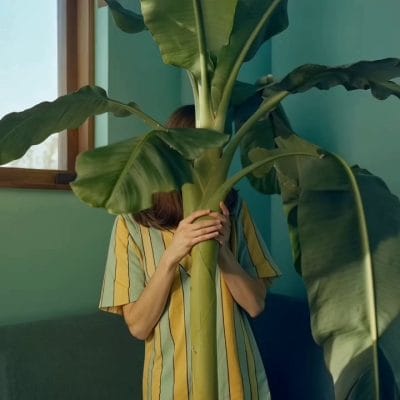 Portrait of Leaf 02