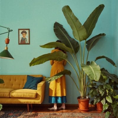 Portrait of Leaf 10