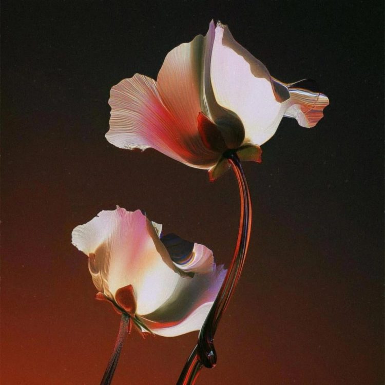 It will bloom... 6