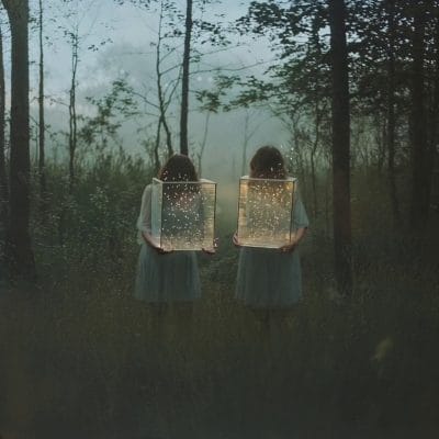 The enchanted forest 6