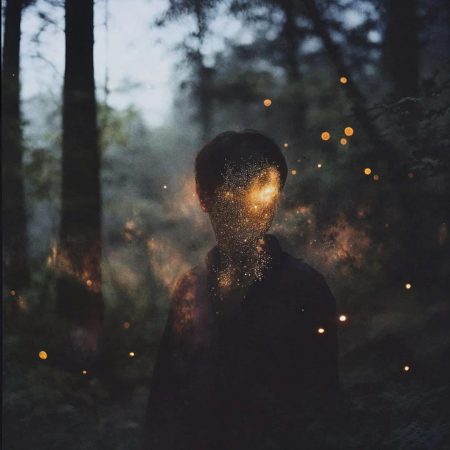 Enchanted forest II 4