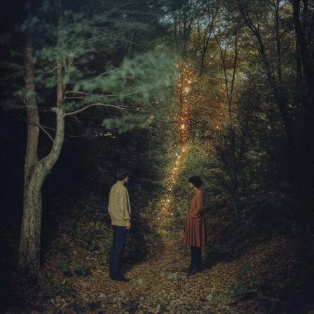 Enchanted forest II 5