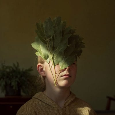 Hide and Leaf 2