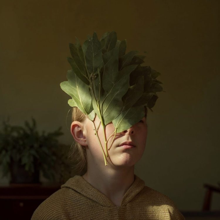 Hide and Leaf 2