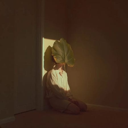Hide and leaf II 02