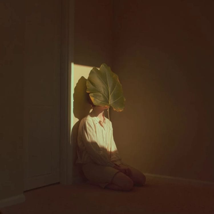 Hide and leaf II 02
