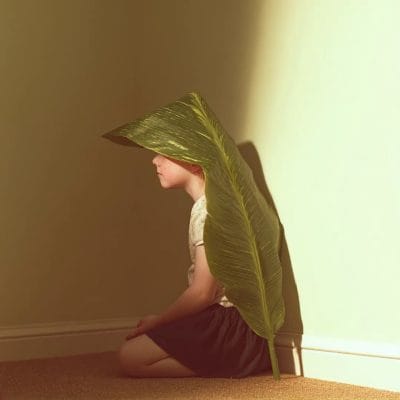 Hide and leaf II 03