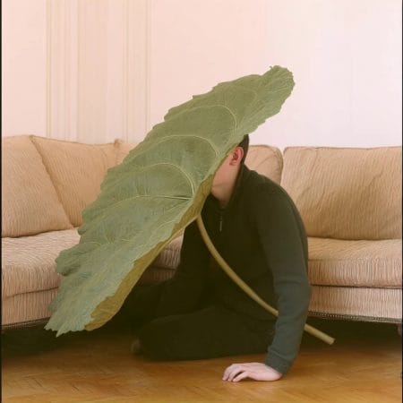 Hide and leaf II 04
