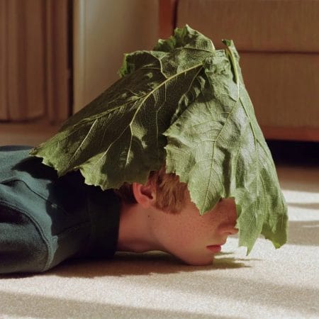Hide and leaf II 05