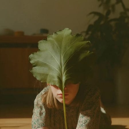 Hide and leaf II 07
