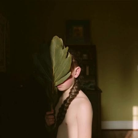 Hide and leaf II 08