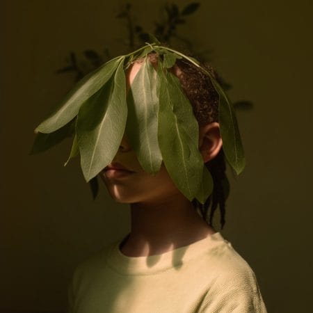 Hide and leaf II 09