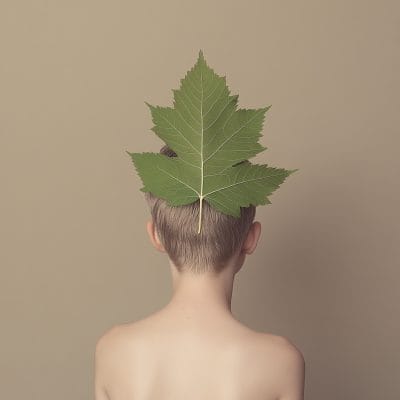 Hide and leaf II 10