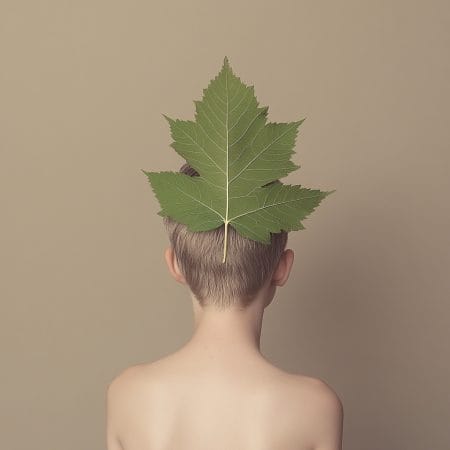 Hide and leaf II 10