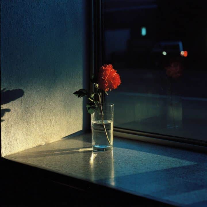 Through the window 01