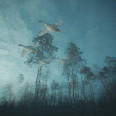 Earth mirages 12