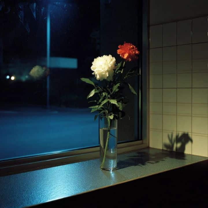 Through the window 03