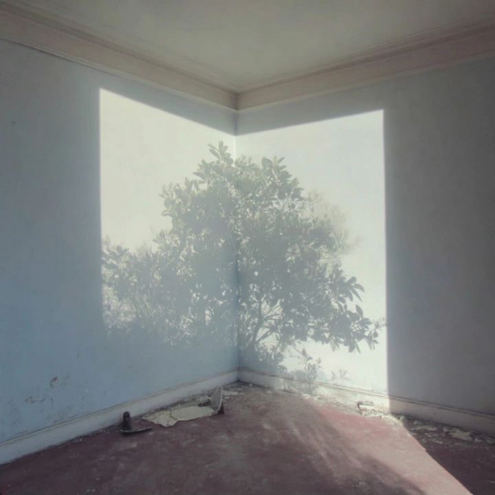 Paisaje interior 06