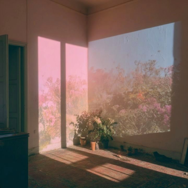 Paisaje interior 01