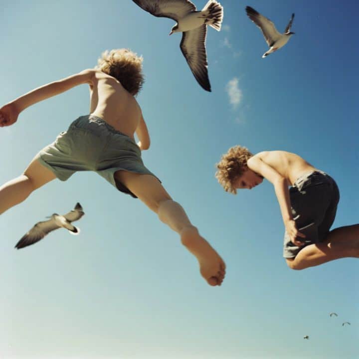 And we became birds 07