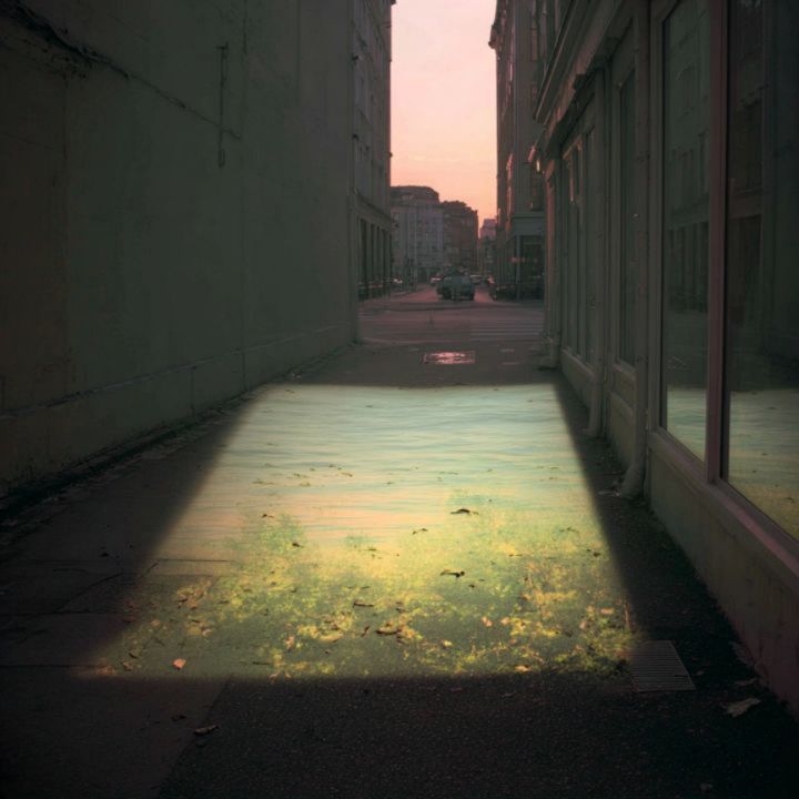 Returning Green 12