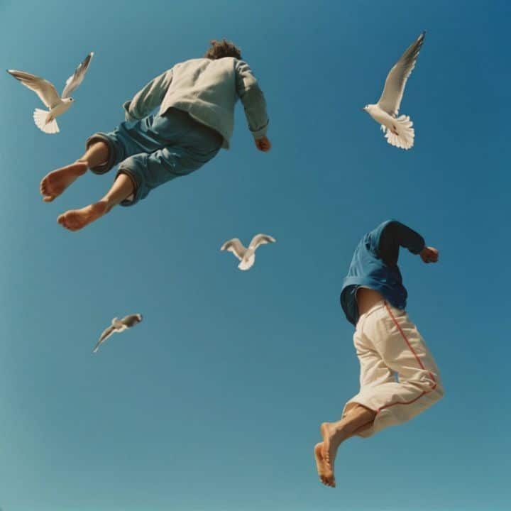 And we became birds 11