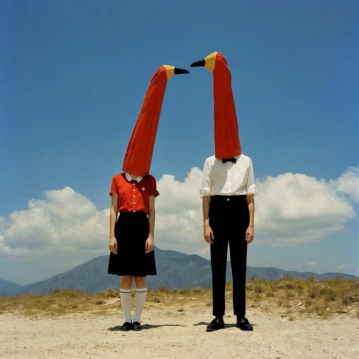 Weird Evolution 08