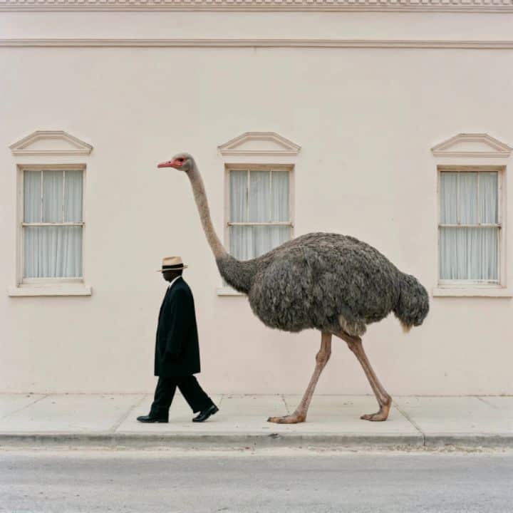 Mutual friend 10
