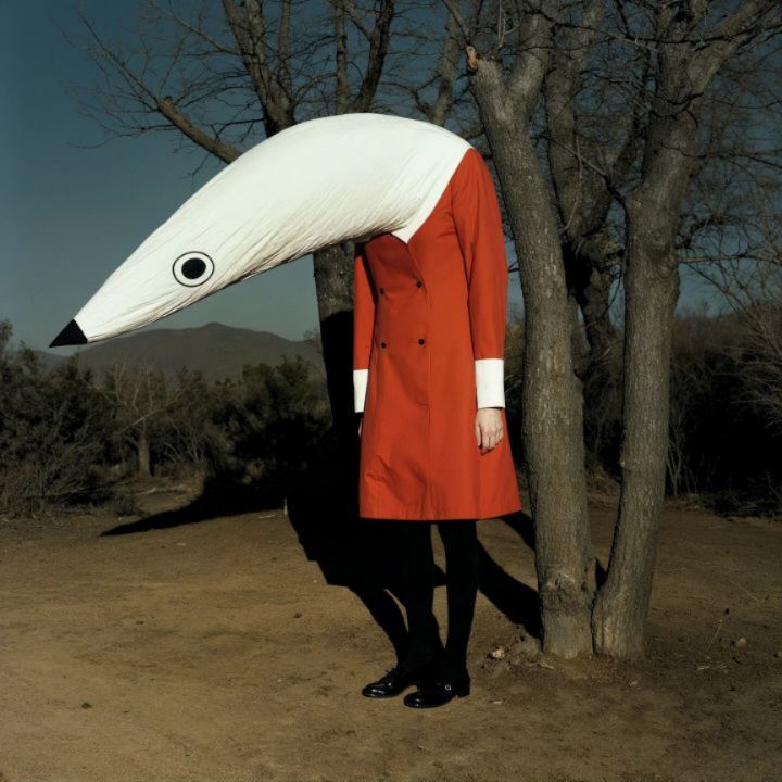 Weird Evolution 03