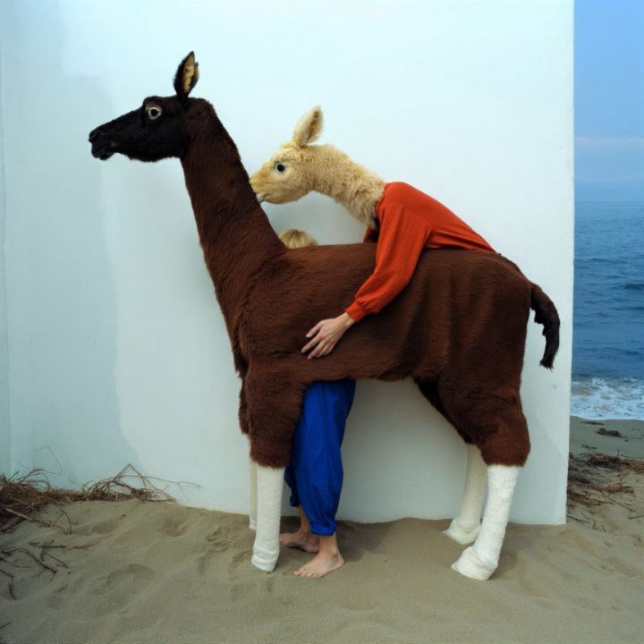 Weird Evolution 02