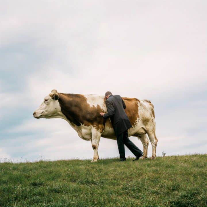 Mutual friend 12