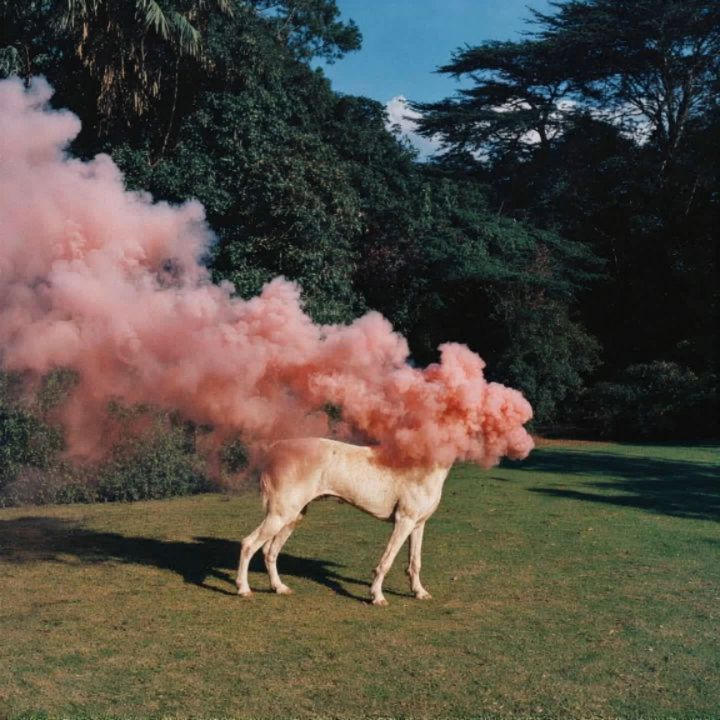 Vaporous Nature 06