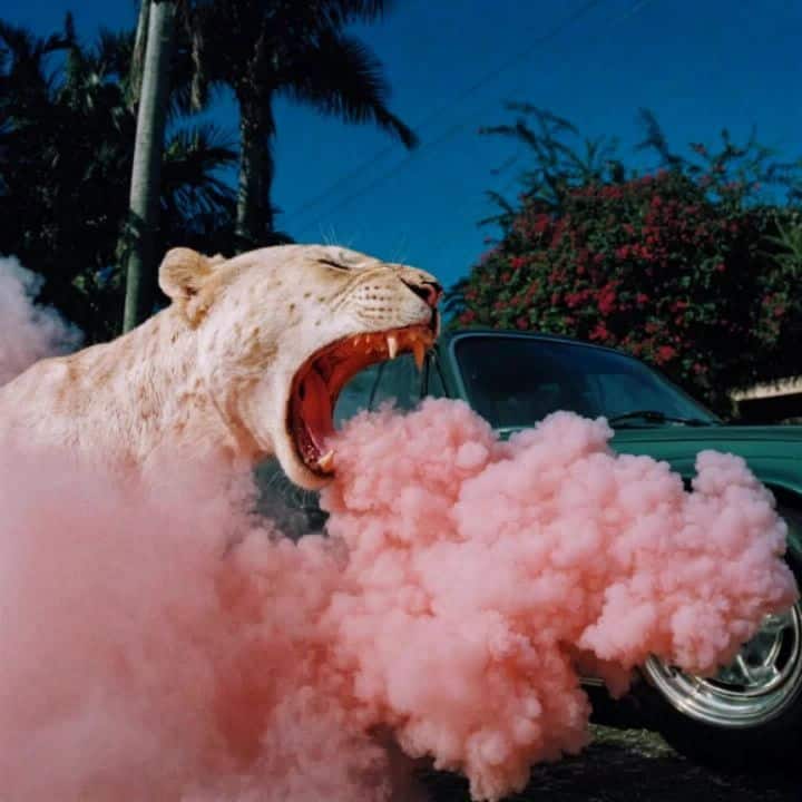 Vaporous Nature 03