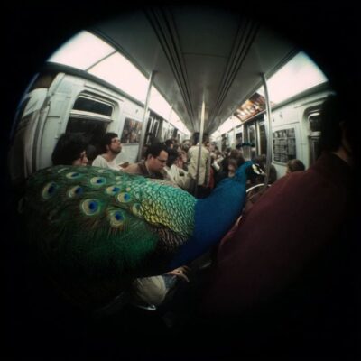 Underground fauna 04