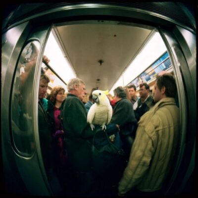 Underground fauna 03