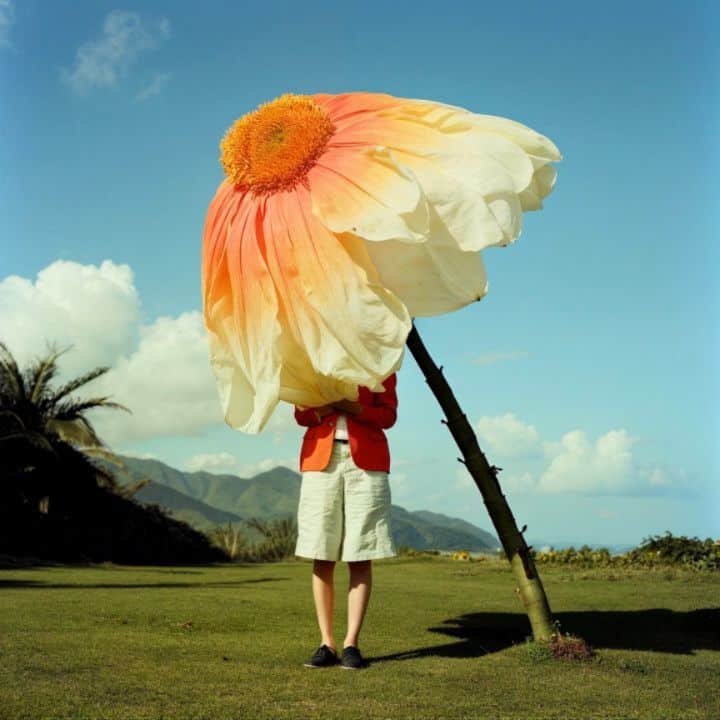 Embracing nature II 15