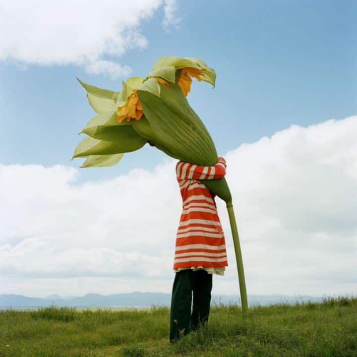 Embracing nature II 04