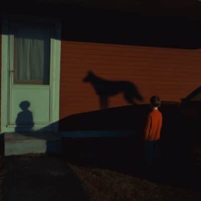 Shadows remember the wild 05