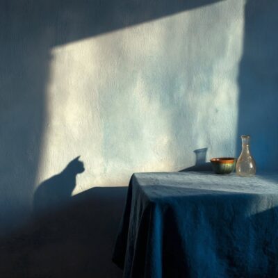 Shadows remember the wild 08