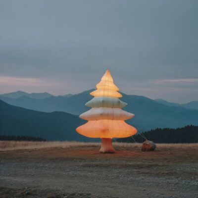 Under giant trees 08