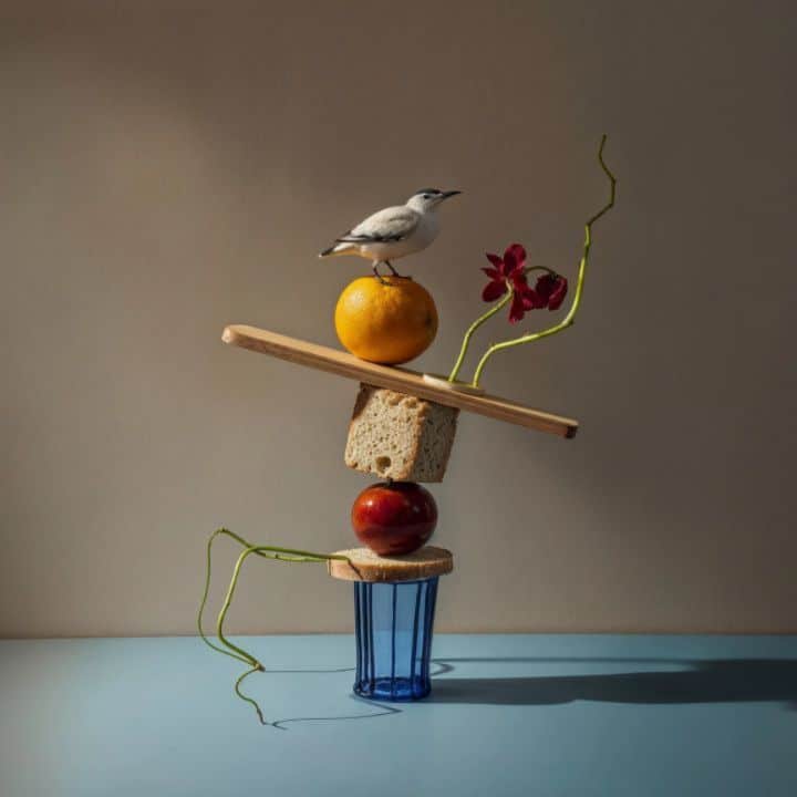 Balance 06