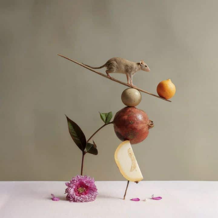 Balance 01